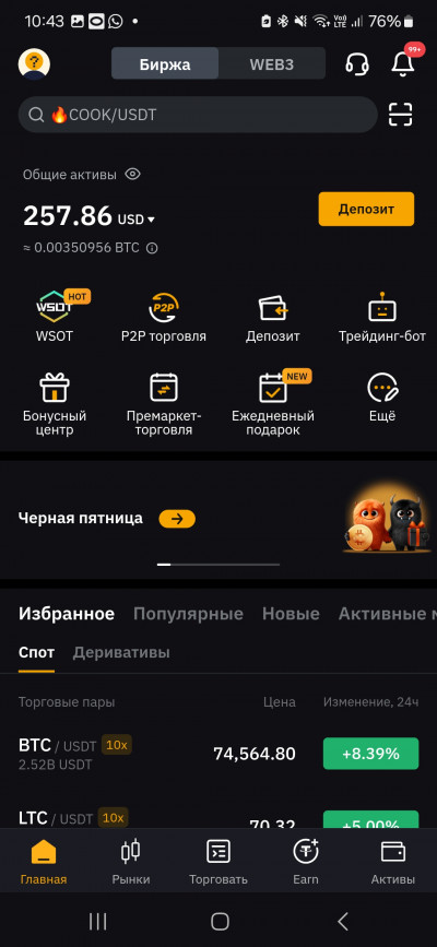 Screenshot_20241106_104336_Bybit
